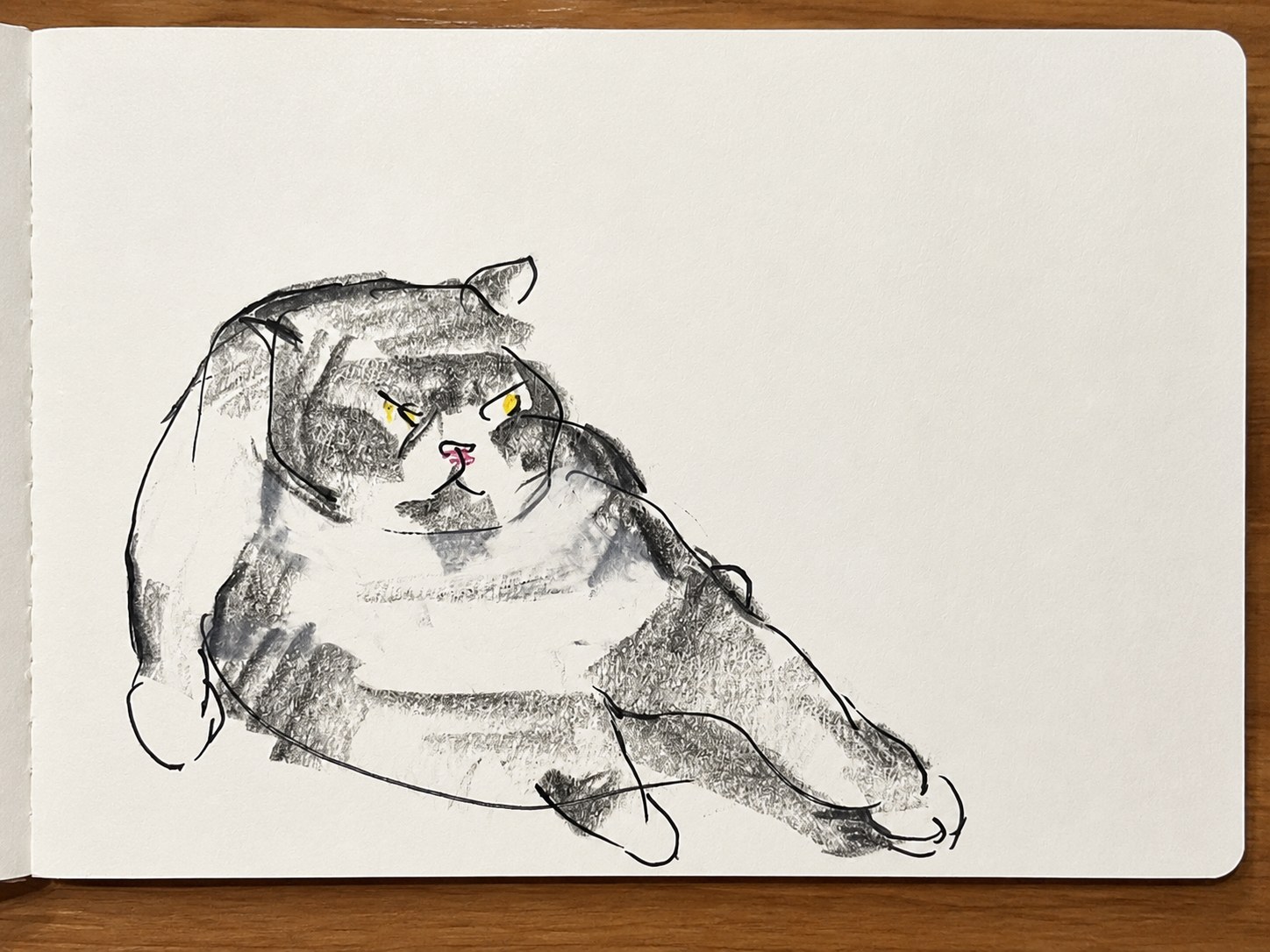 スケッチブックに描かれた横たわる猫