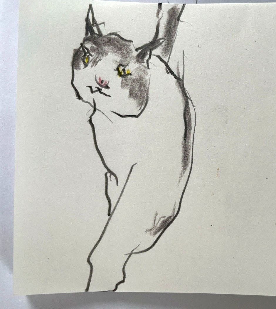 線と鉛筆で描かれた立つ猫